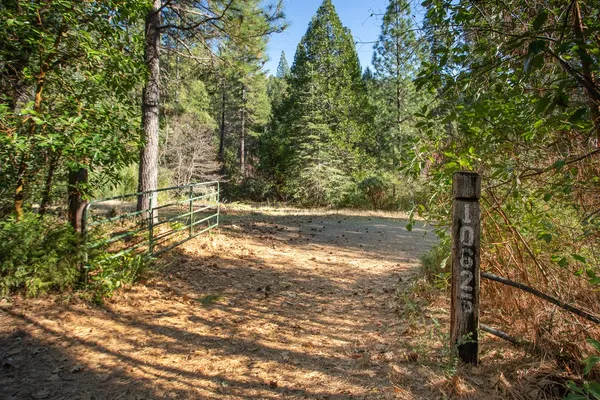$450,000 | 10625 Forbestown Road, Forbestown, CA 95941