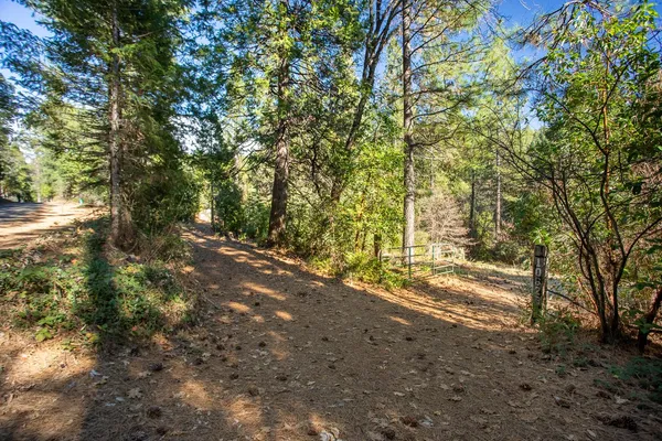 $450,000 | 10625 Forbestown Road, Forbestown, CA 95941