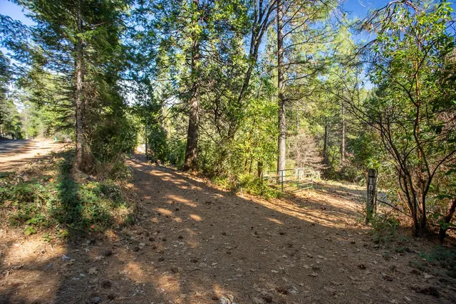 $450,000 | 10625 Forbestown Road, Forbestown, CA 95941