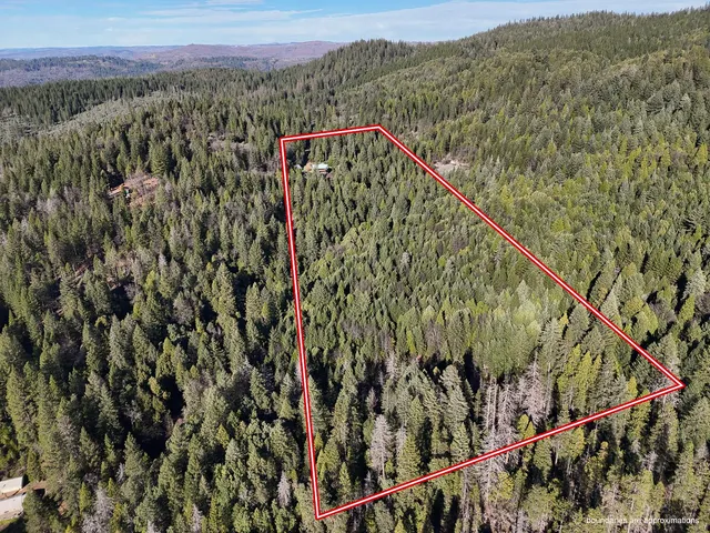 $450,000 | 10625 Forbestown Road, Forbestown, CA 95941