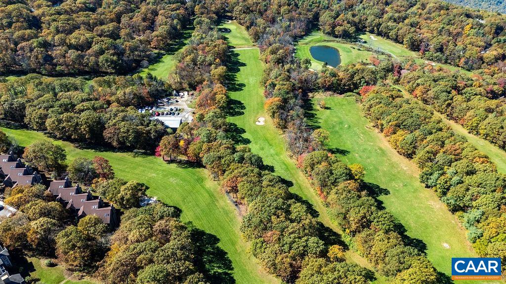 2048 Stone Ridge Wintergreen, VA 22967 - Photo 28 of 36 a view of a garden