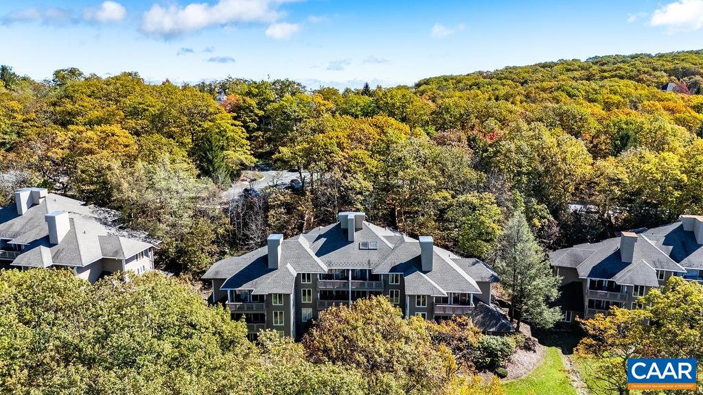 2048 Stone Ridge Wintergreen, VA 22967 - Photo 33 of 36 a house with a tree in front of it