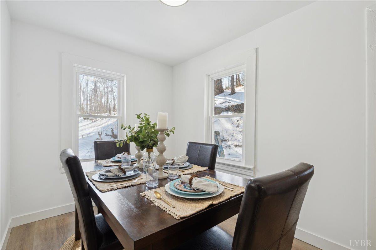 1007 Reed Drive Big Island, VA 24526 - Photo 11 of 29