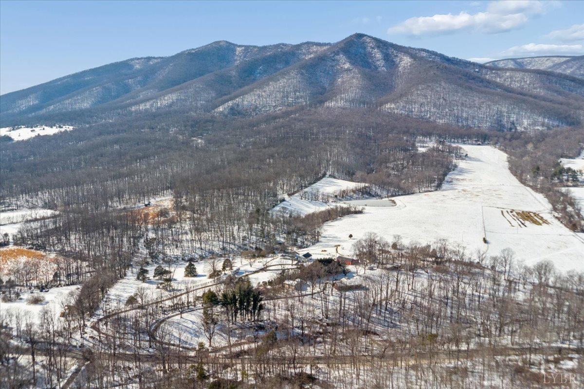 1007 Reed Drive Big Island, VA 24526 - Photo 17 of 29