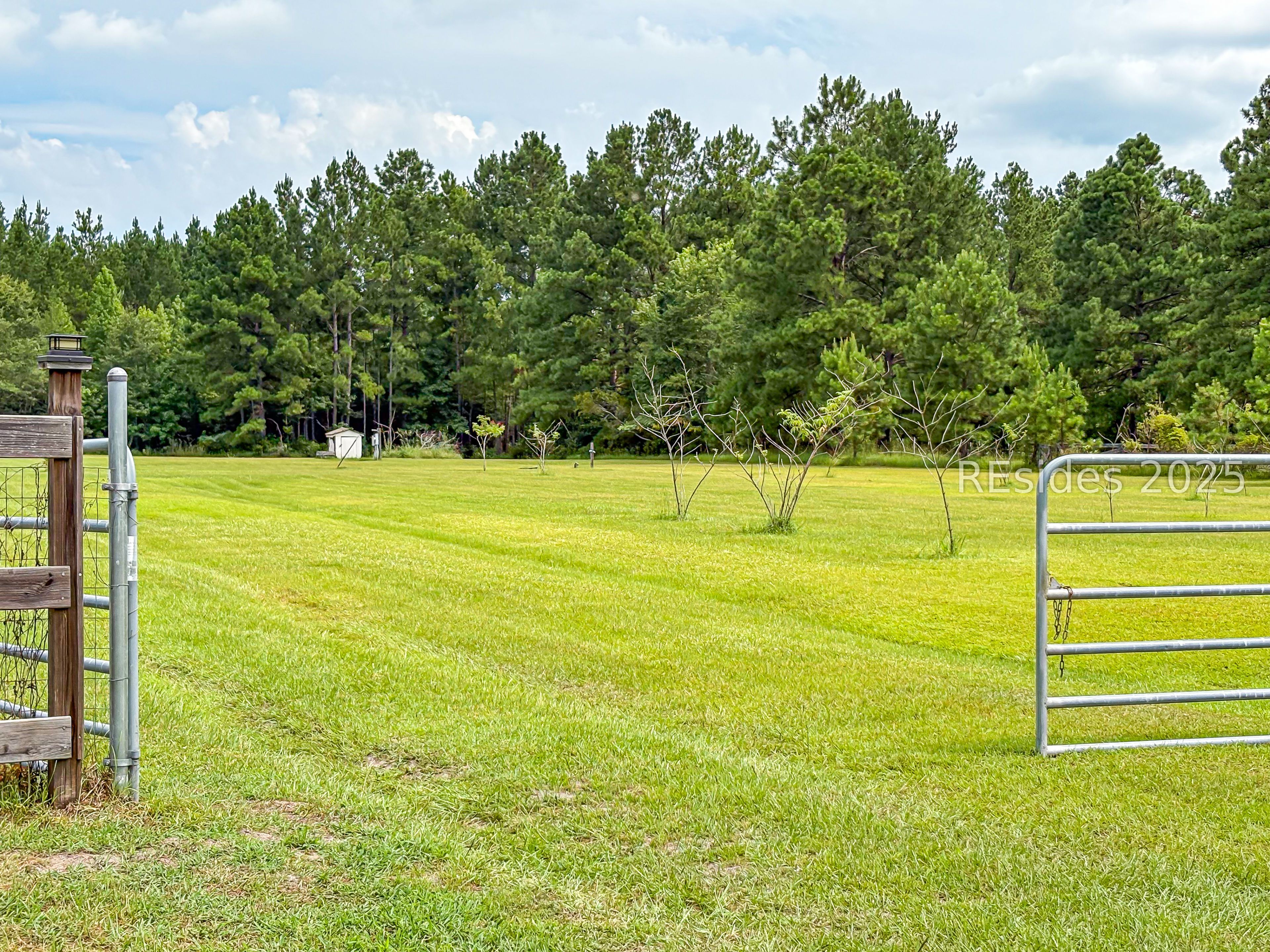 399 Pineland Estates Road Pineland, SC 29934 - Photo 2 of 18