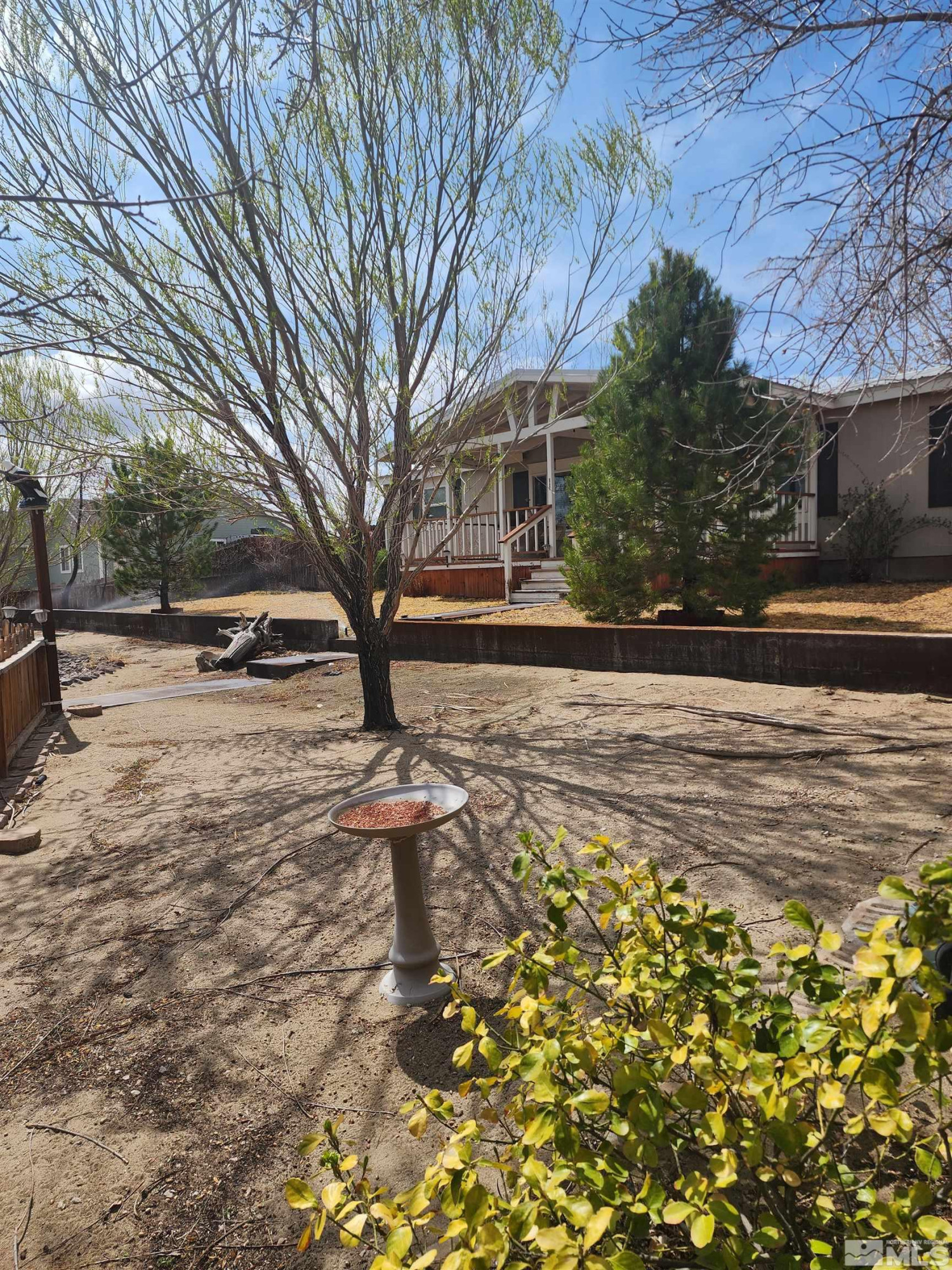2650 Harvey Lane Fallon, NV 89406 - Photo 29 of 29 a view of a yard with plants and trees