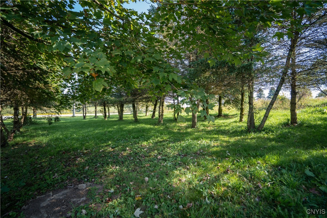 1352 Highway 29 Fairfield, NY 13365 - Photo 33 of 41