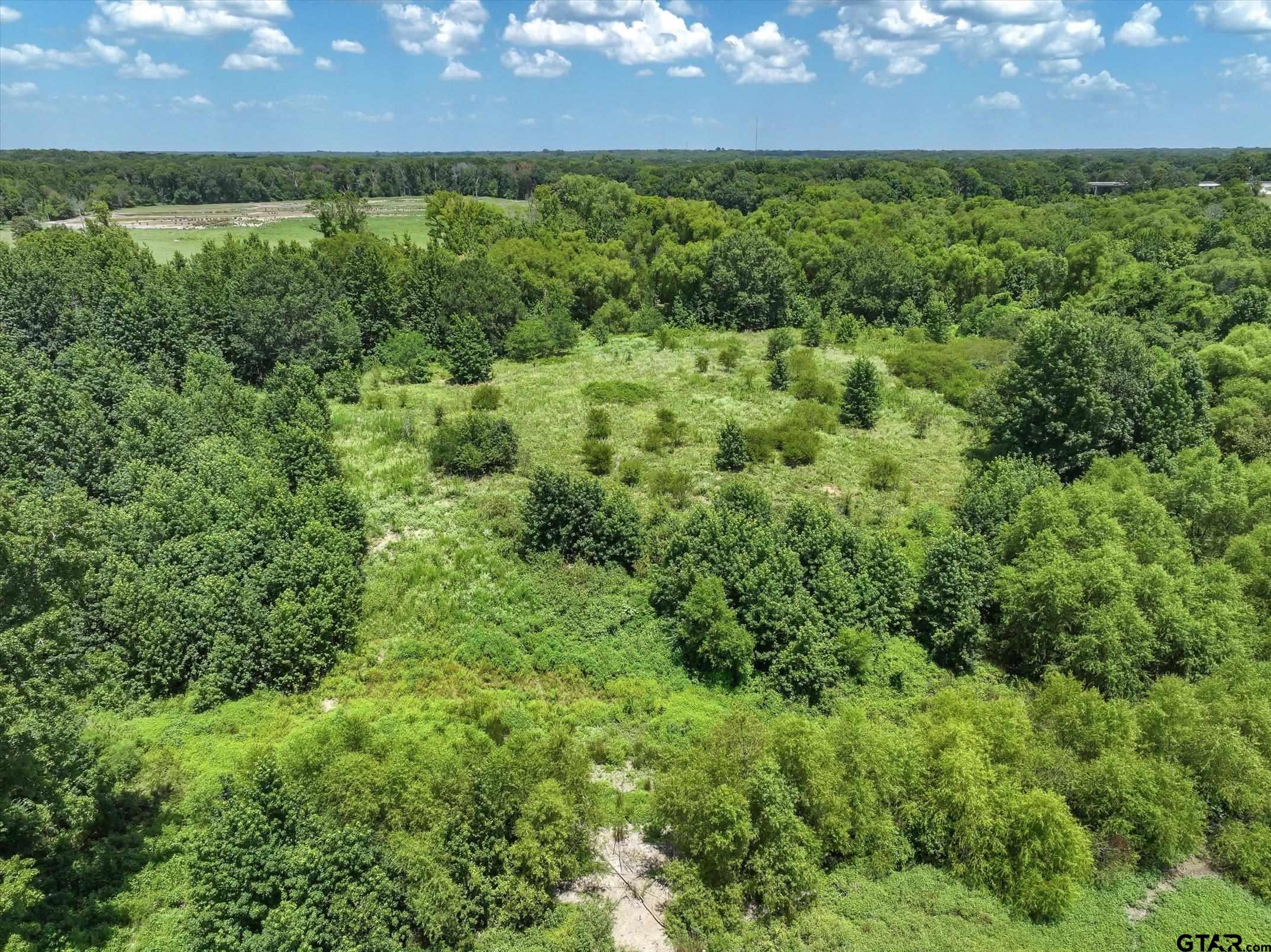 15542 Us Highway Edgewood, TX 75117 - Photo 11 of 23 a view of yard with green space