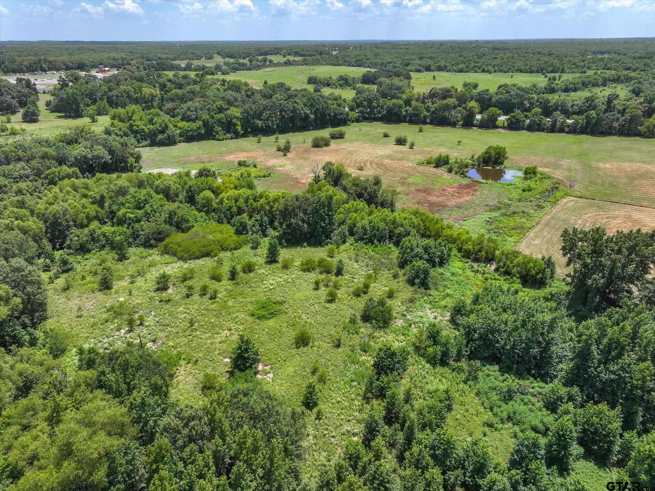 15542 Us Highway Edgewood, TX 75117 - Photo 12 of 23 a view of outdoor space with mountain view