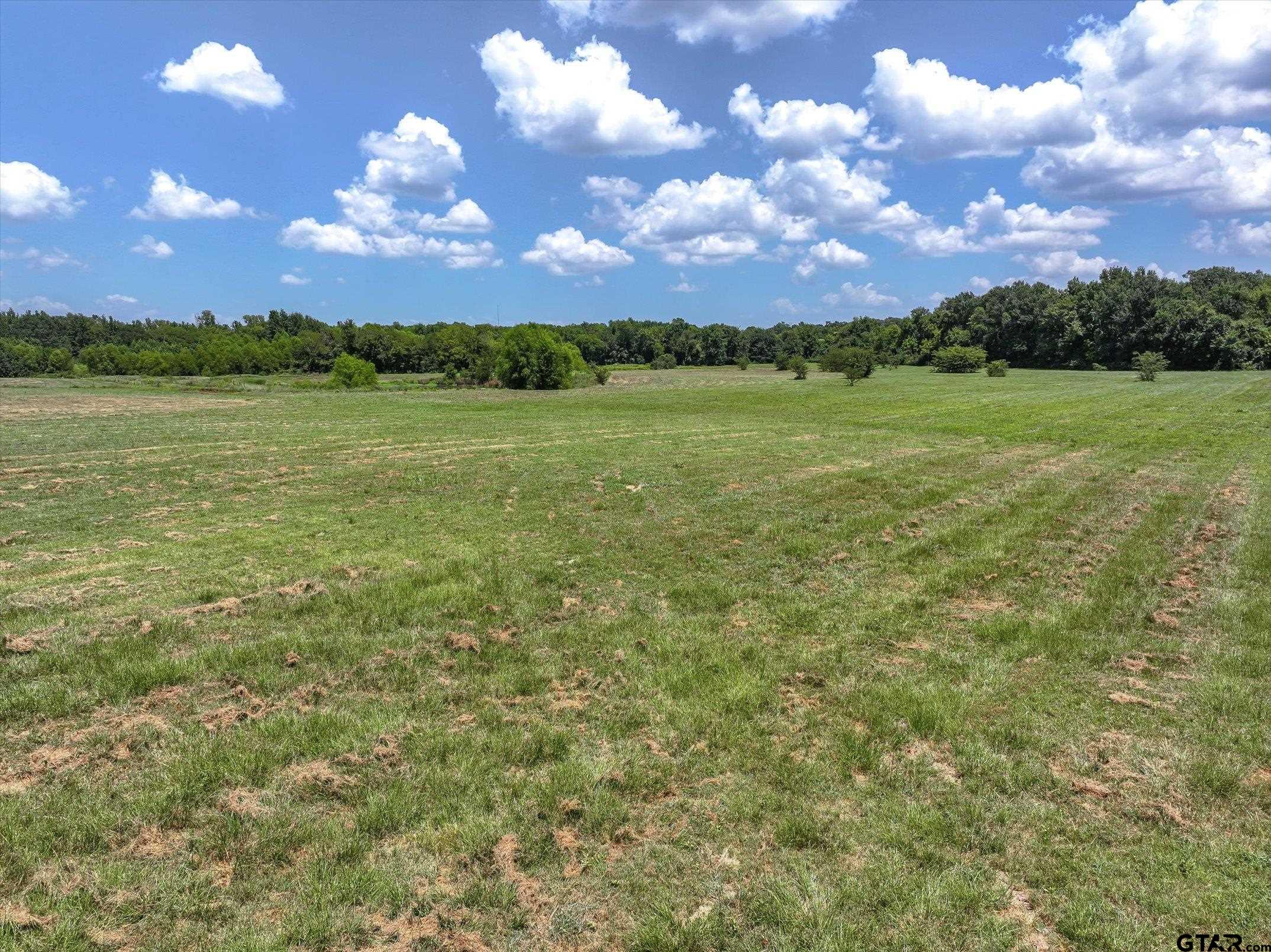15542 Us Highway Edgewood, TX 75117 - Photo 19 of 23 a view of a lake