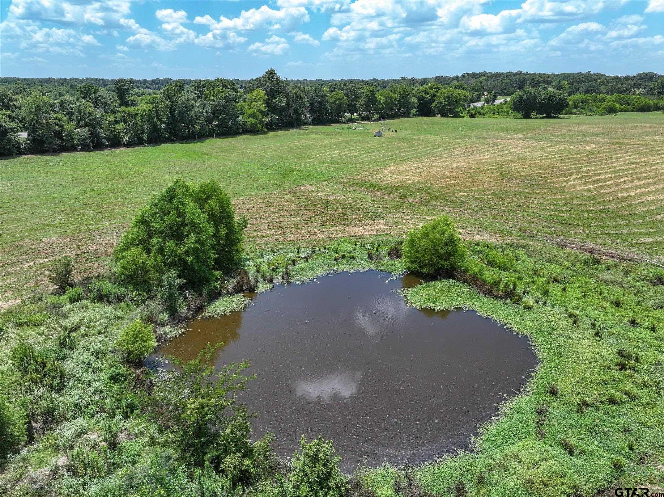 15542 Us Highway Edgewood, TX 75117 - Photo 8 of 23 a view of a lake with a yard