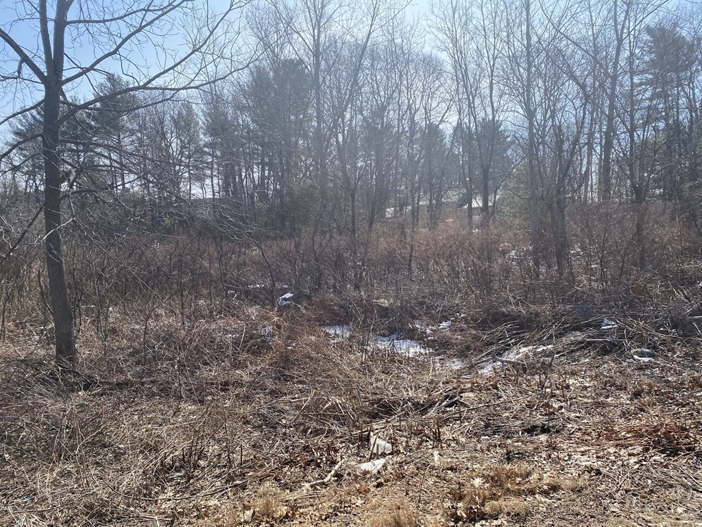 Lot 41 Meadow Road Spencer, MA 01562 - Photo 1 of 7 Gallery Image 1