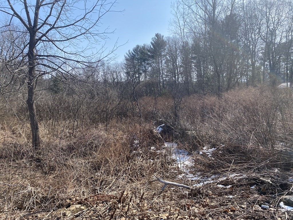 Lot 41 Meadow Road Spencer, MA 01562 - Photo 5 of 7 Gallery Image 5