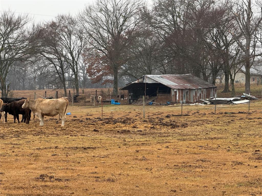 505 County Road 1442 Yantis, TX 75497 - Photo 12 of 19 a backyard of a house with table and chairs