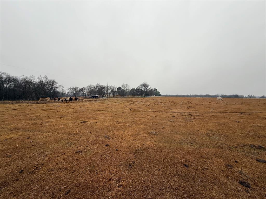 505 County Road 1442 Yantis, TX 75497 - Photo 16 of 19 a view of an ocean