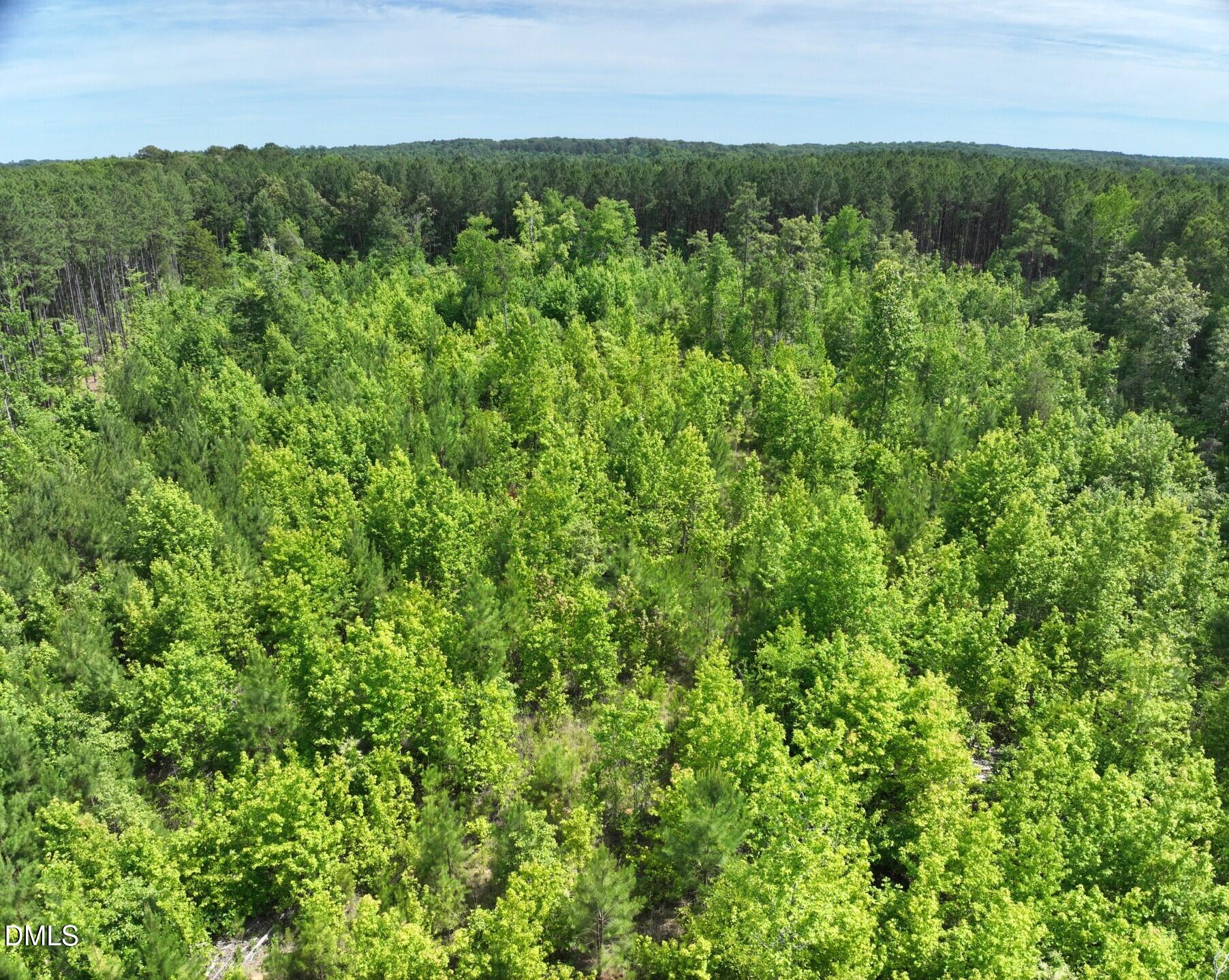 0 John Headen Road Moncure, NC 27559 - Photo 10 of 21