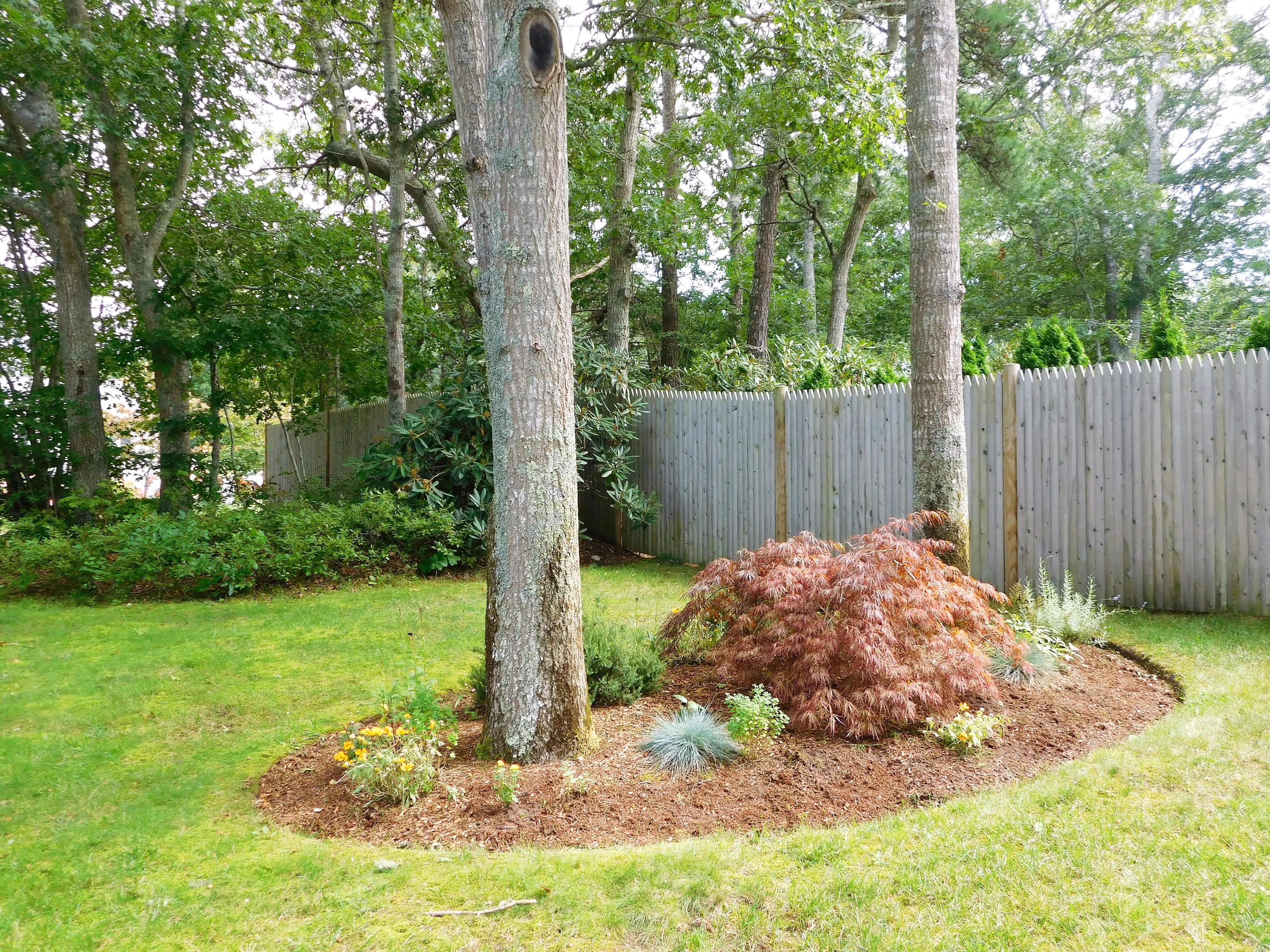 67 Carla Road Hyannis, MA 02601 - Photo 18 of 26 DSCN1504