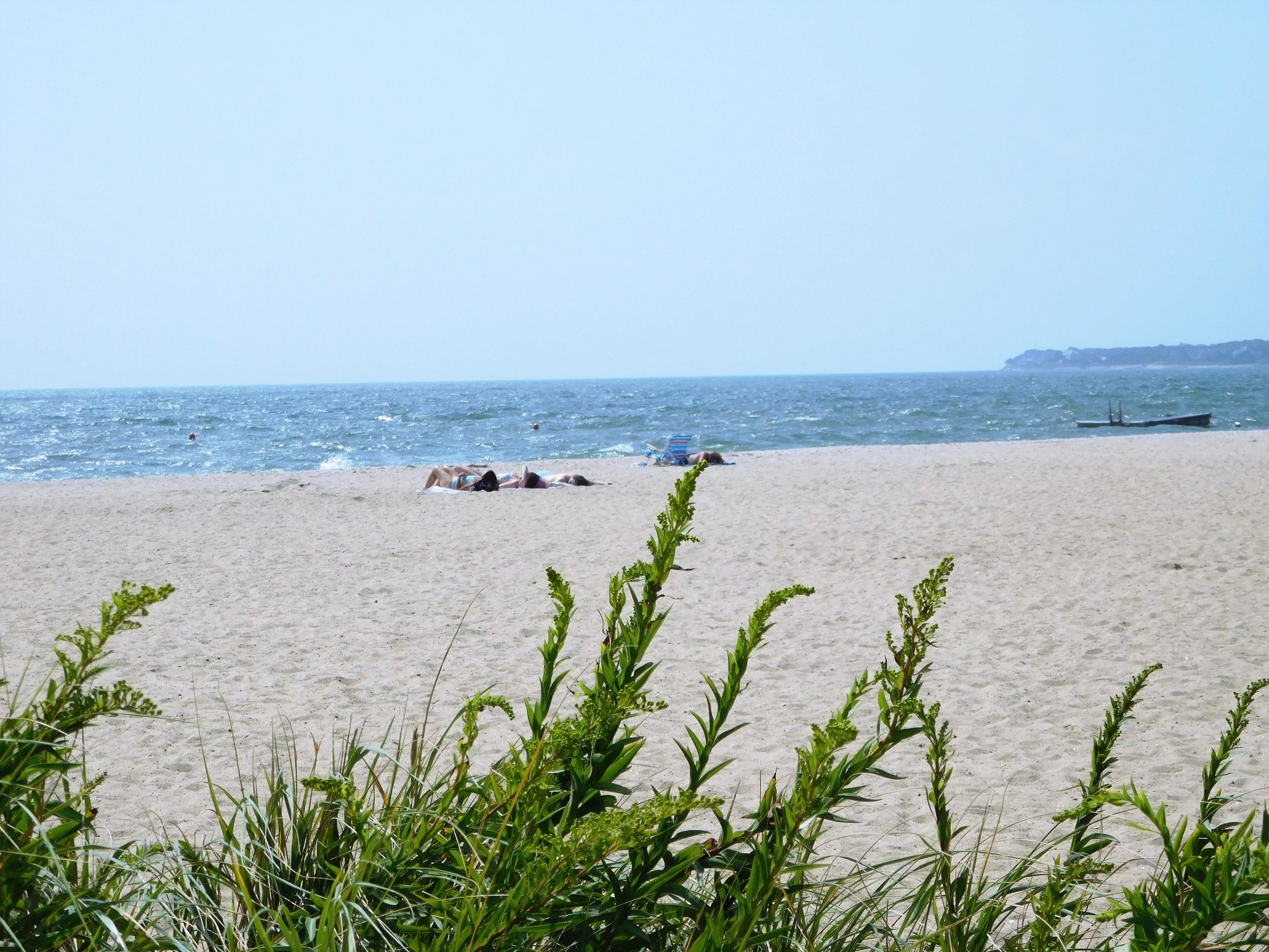 67 Carla Road Hyannis, MA 02601 - Photo 24 of 26 DSCN1497