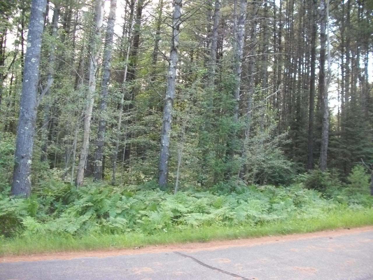 Lot 21 Camp Nokomis Road Mercer, WI 54547 - Photo 4 of 7 Gallery Image 4