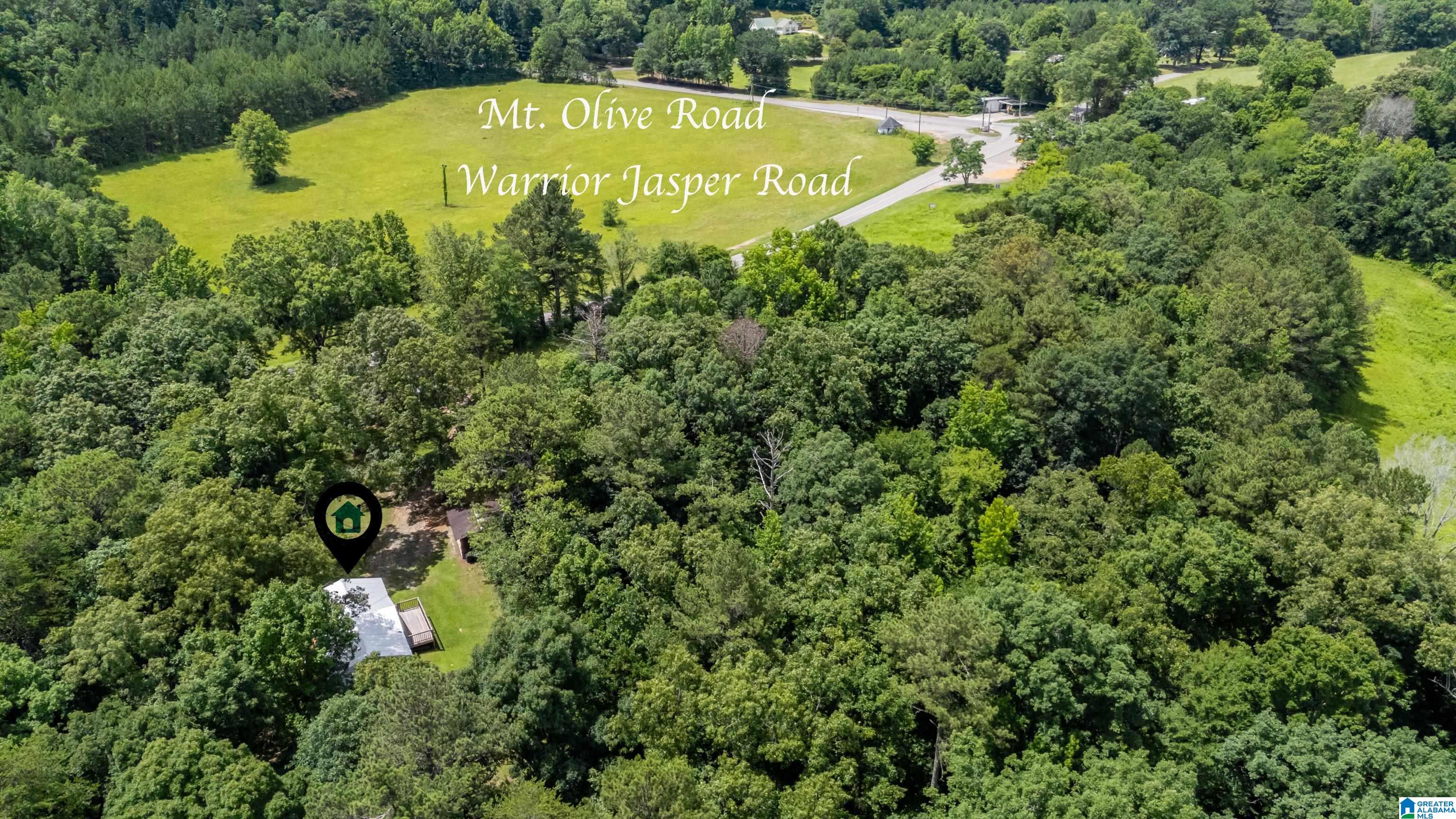 3441 Warrior Jasper Road Warrior, AL 35180 - Photo 31 of 31