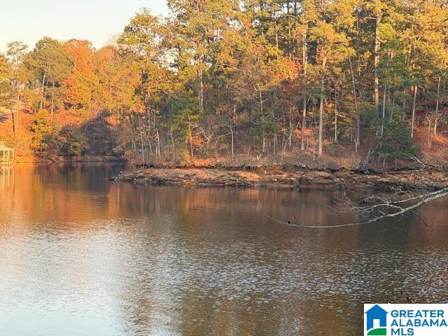1 County Road 804, Unit 1 Heflin, AL 36264 - Photo 6 of 7