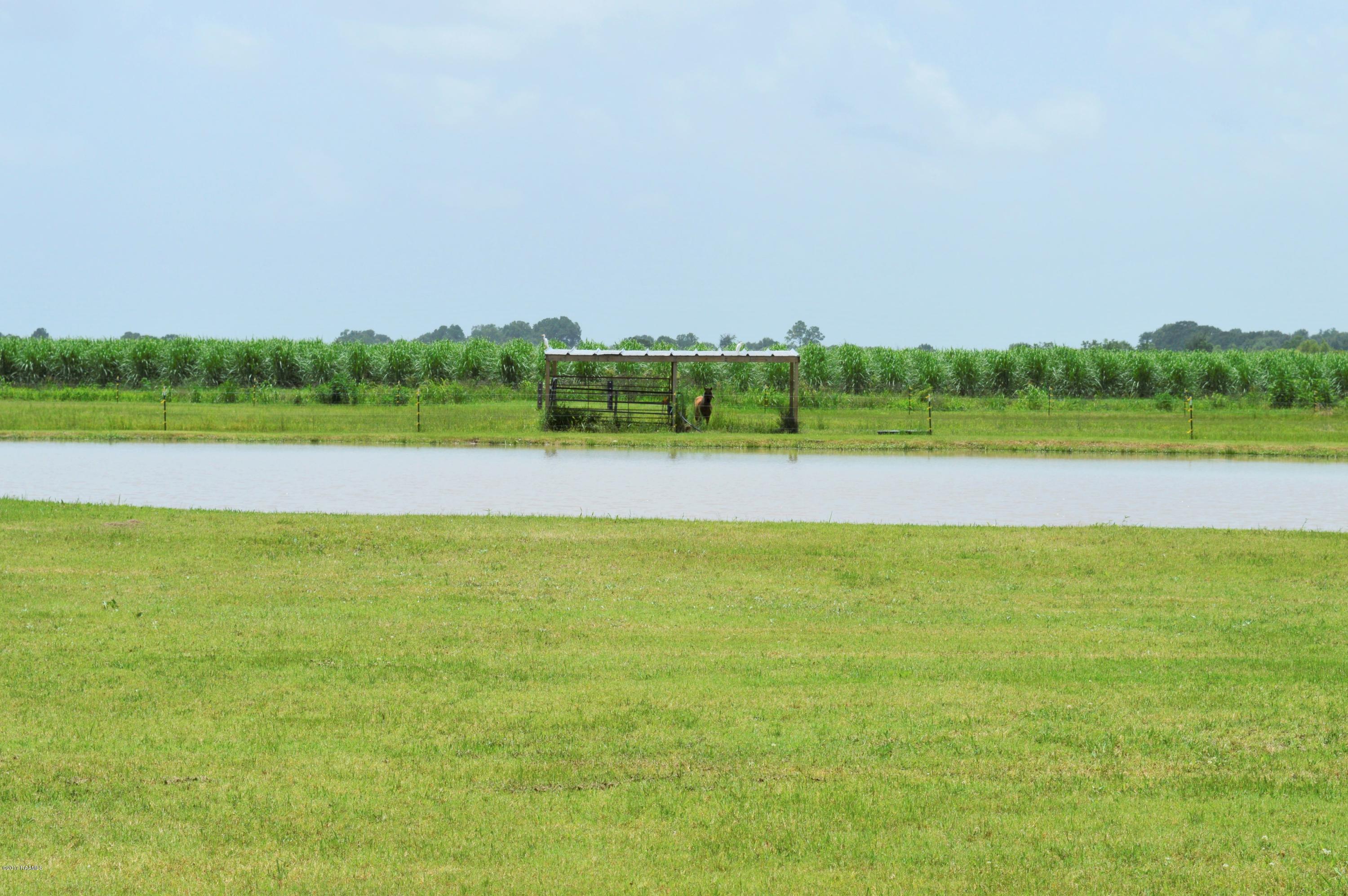 3905 Perkins Road Youngsville, LA 70592 - Photo 46 of 47 _DSC0144