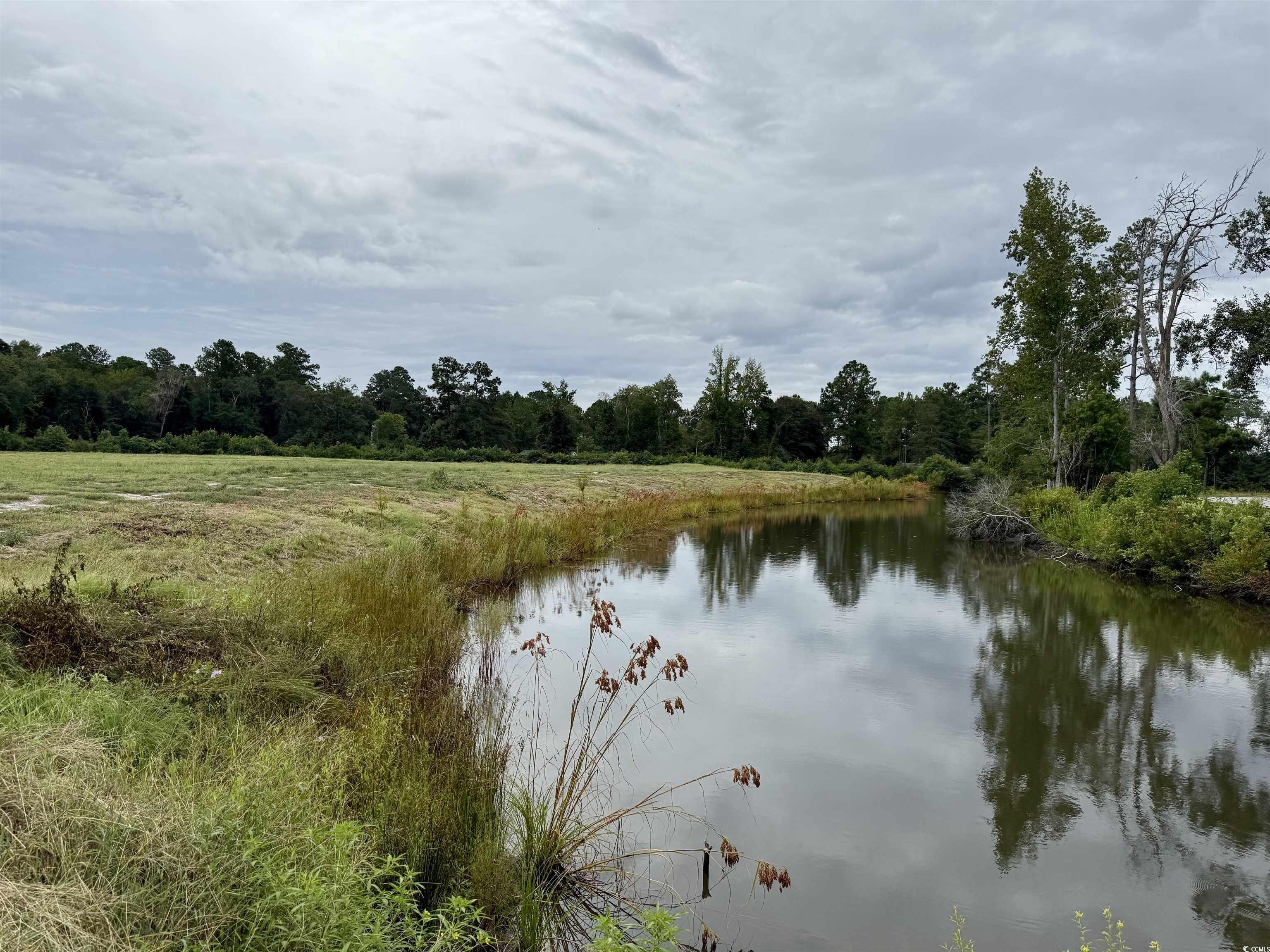 547 Hodges Road Kingstree, SC 29556 - Photo 12 of 16