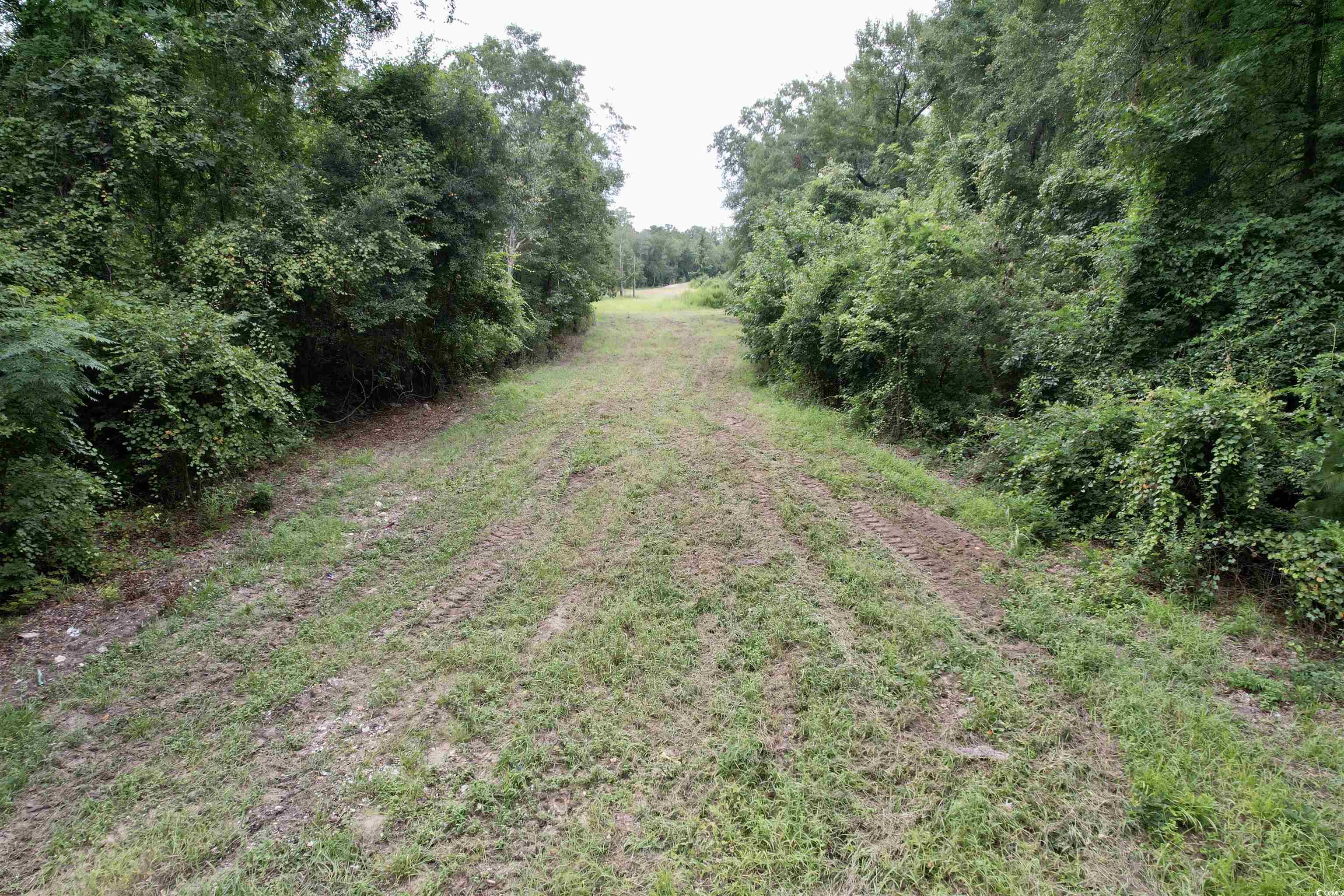 547 Hodges Road Kingstree, SC 29556 - Photo 14 of 16