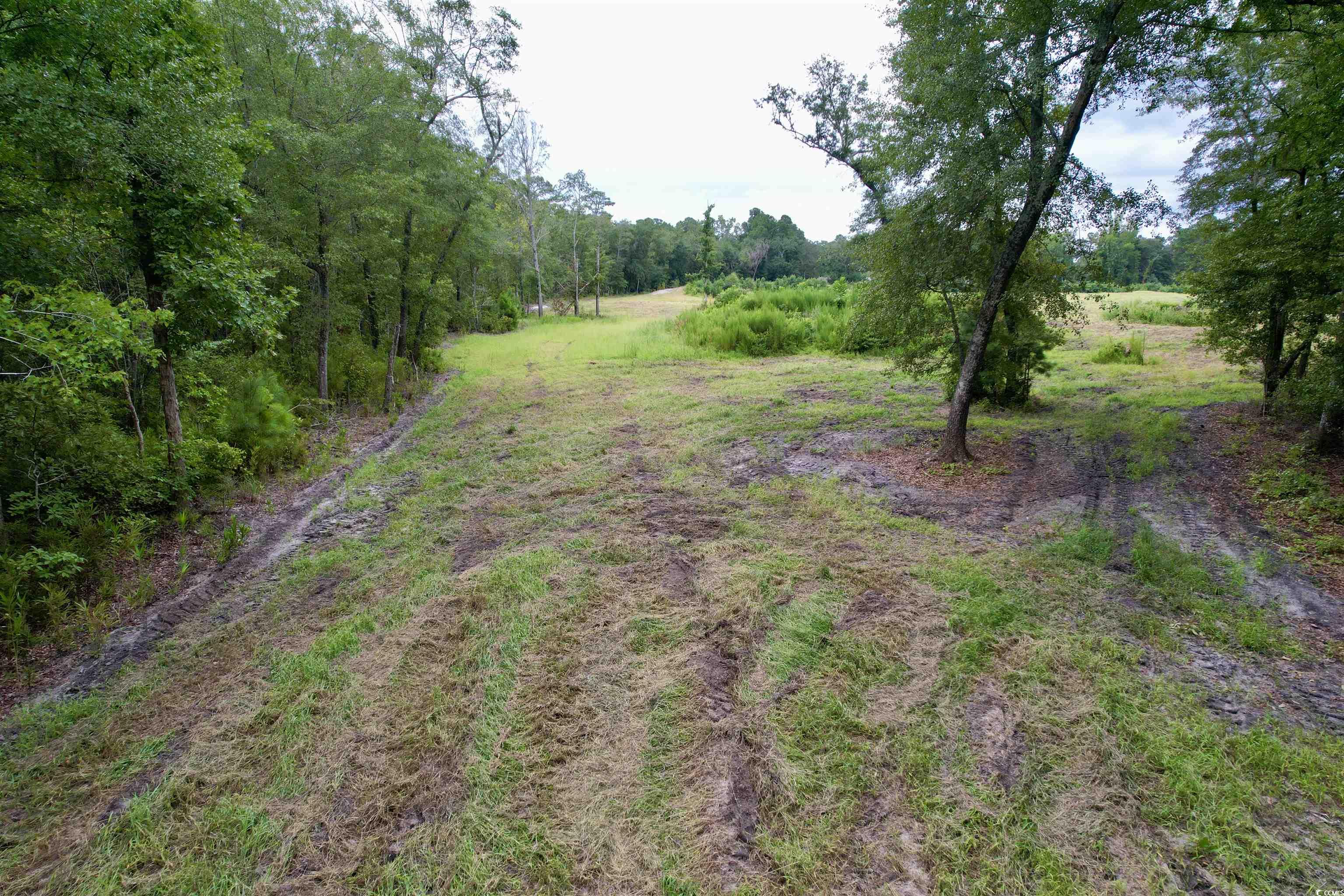 547 Hodges Road Kingstree, SC 29556 - Photo 15 of 16