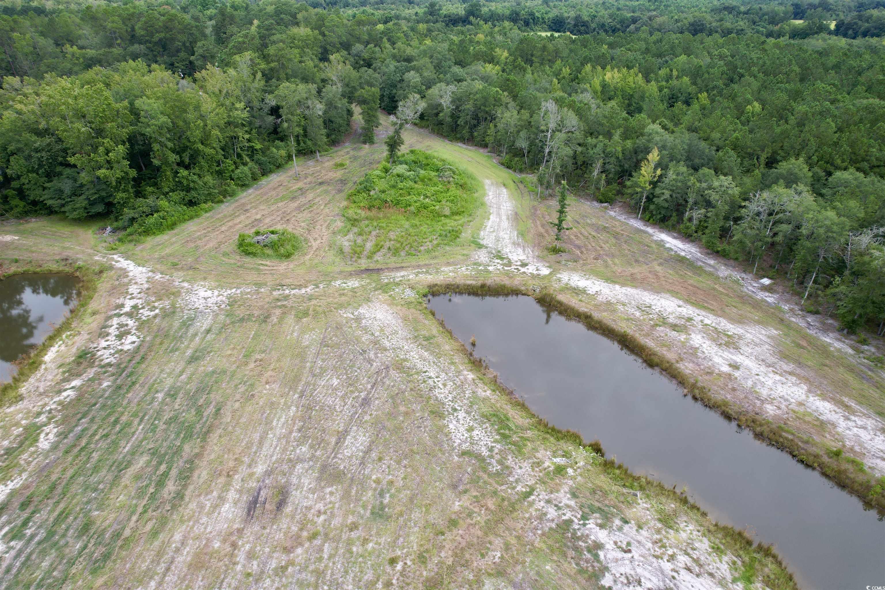 547 Hodges Road Kingstree, SC 29556 - Photo 5 of 16