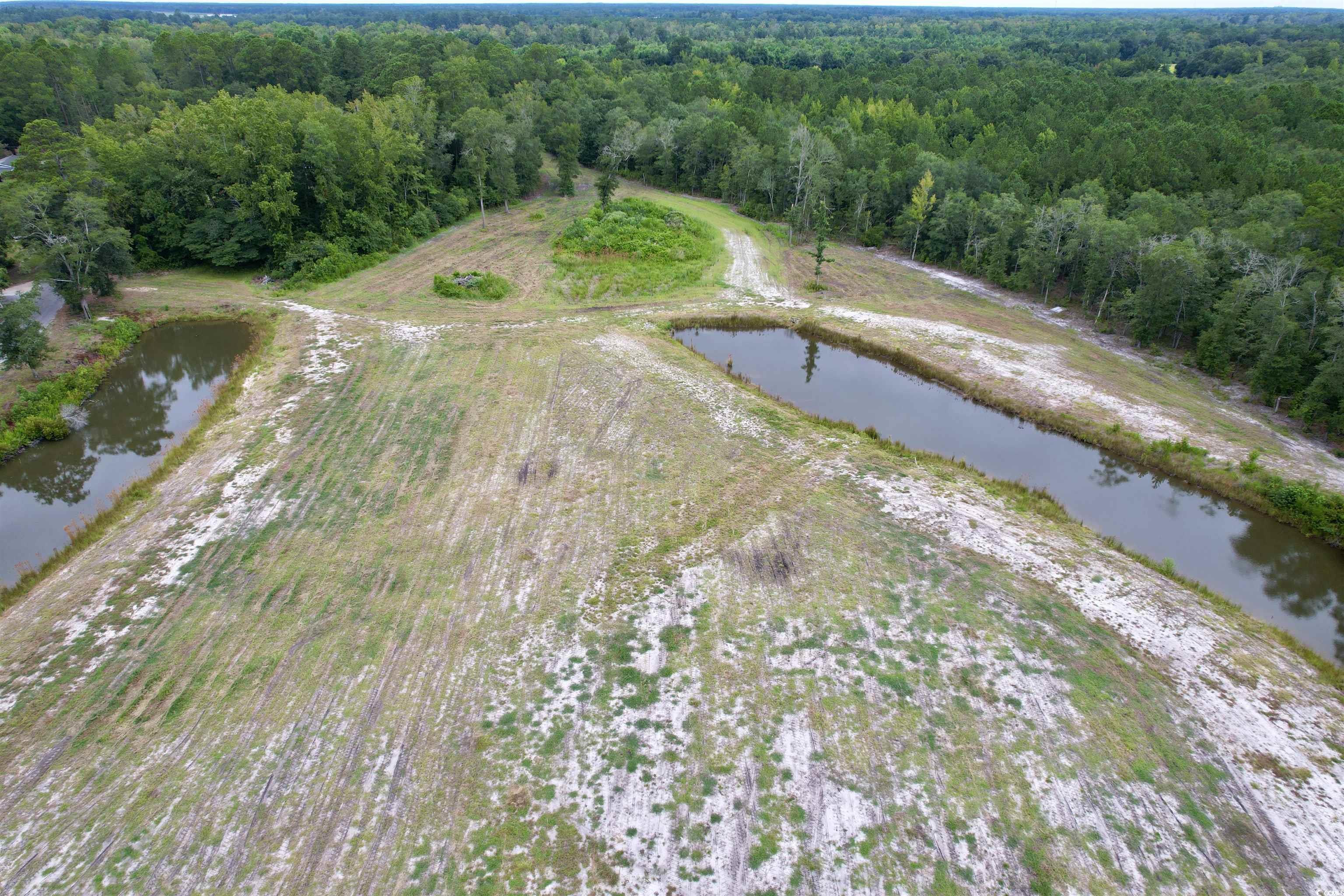 547 Hodges Road Kingstree, SC 29556 - Photo 8 of 16