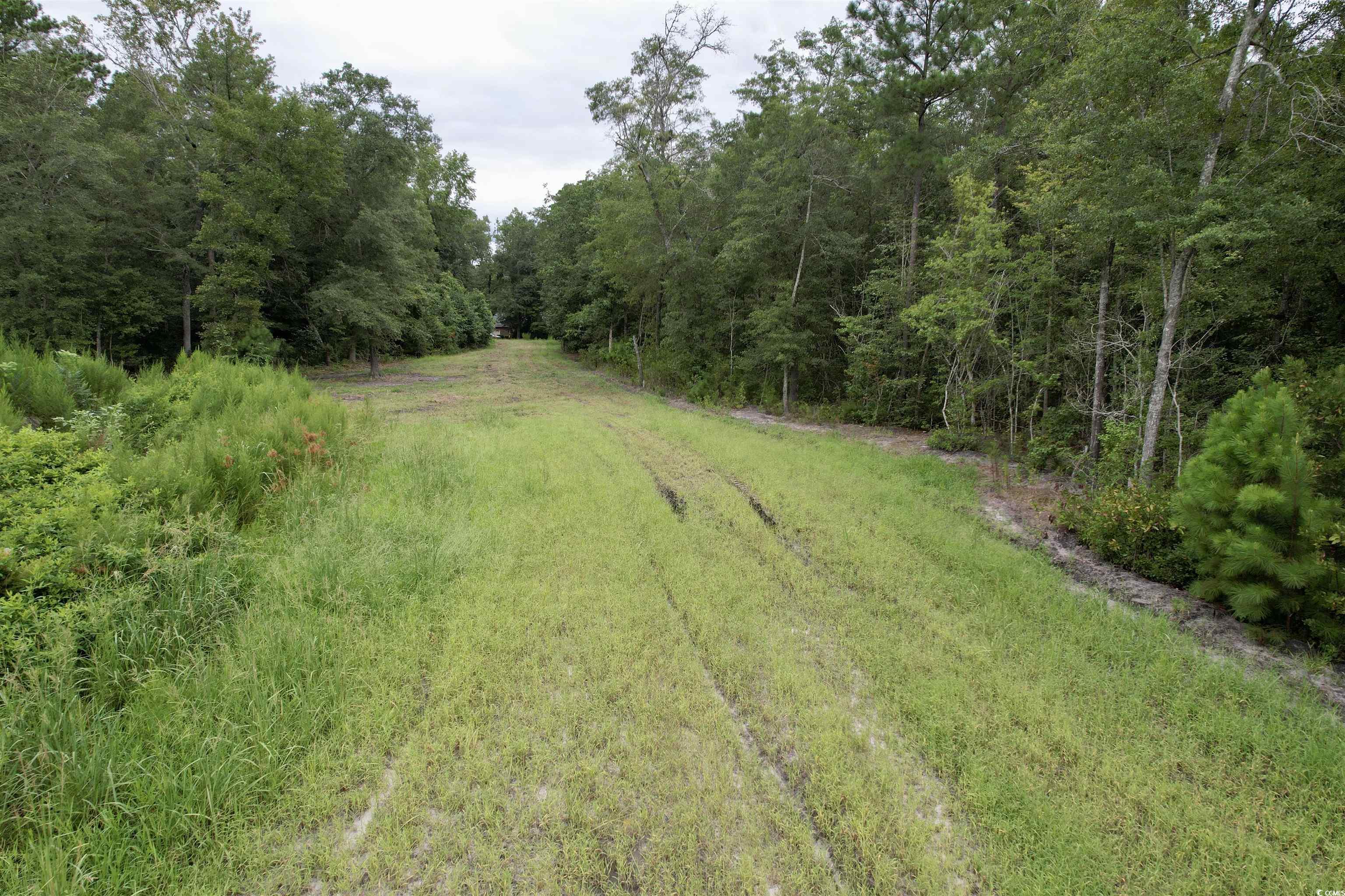 547 Hodges Road Kingstree, SC 29556 - Photo 9 of 16