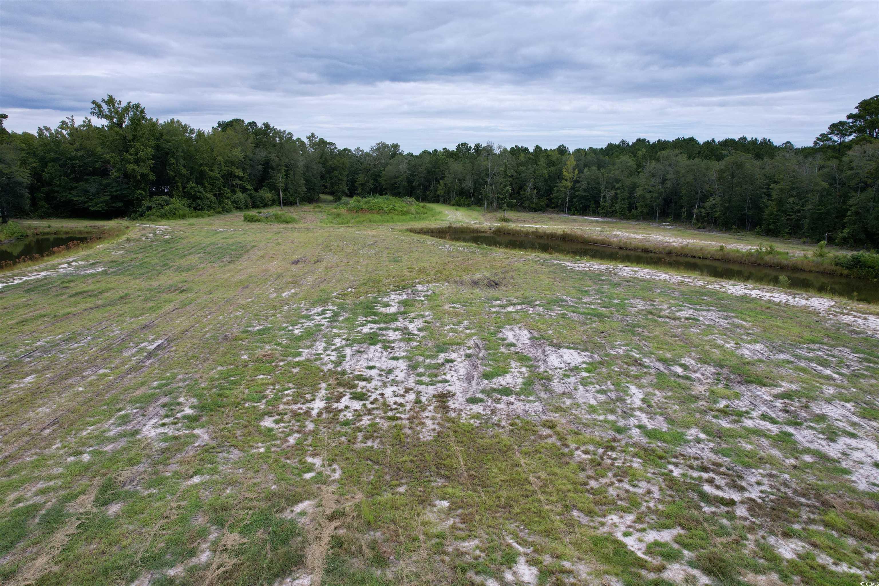 547 Hodges Road Kingstree, SC 29556 - Photo 10 of 16