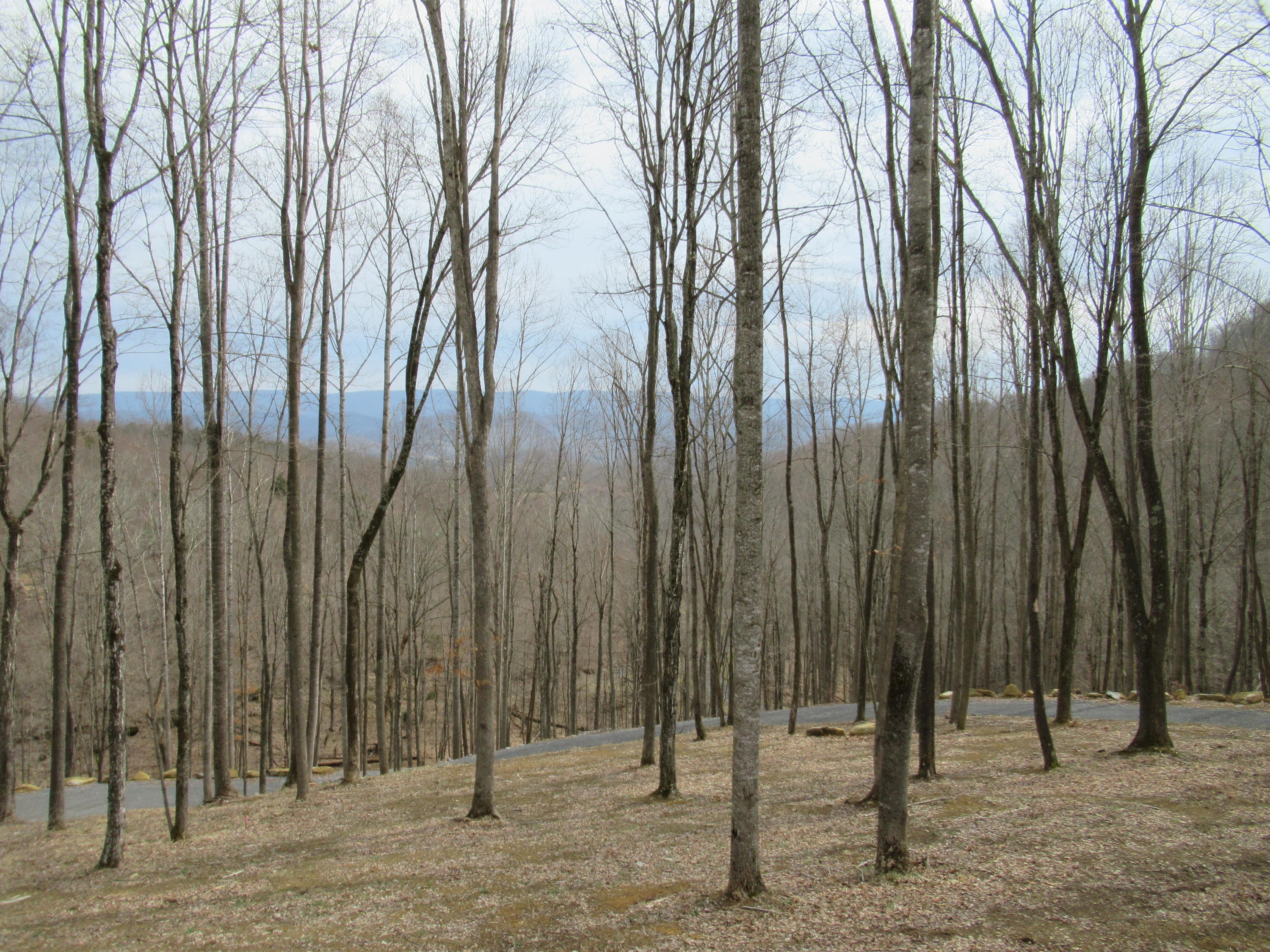 534 Collins School Road Union, WV 24983 - Photo 35 of 53 Gallery Image 35