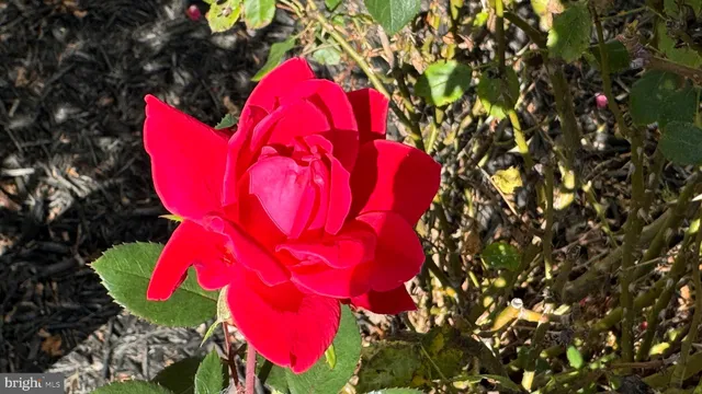 a bedroom with a bed and a flat tv screen on dresser