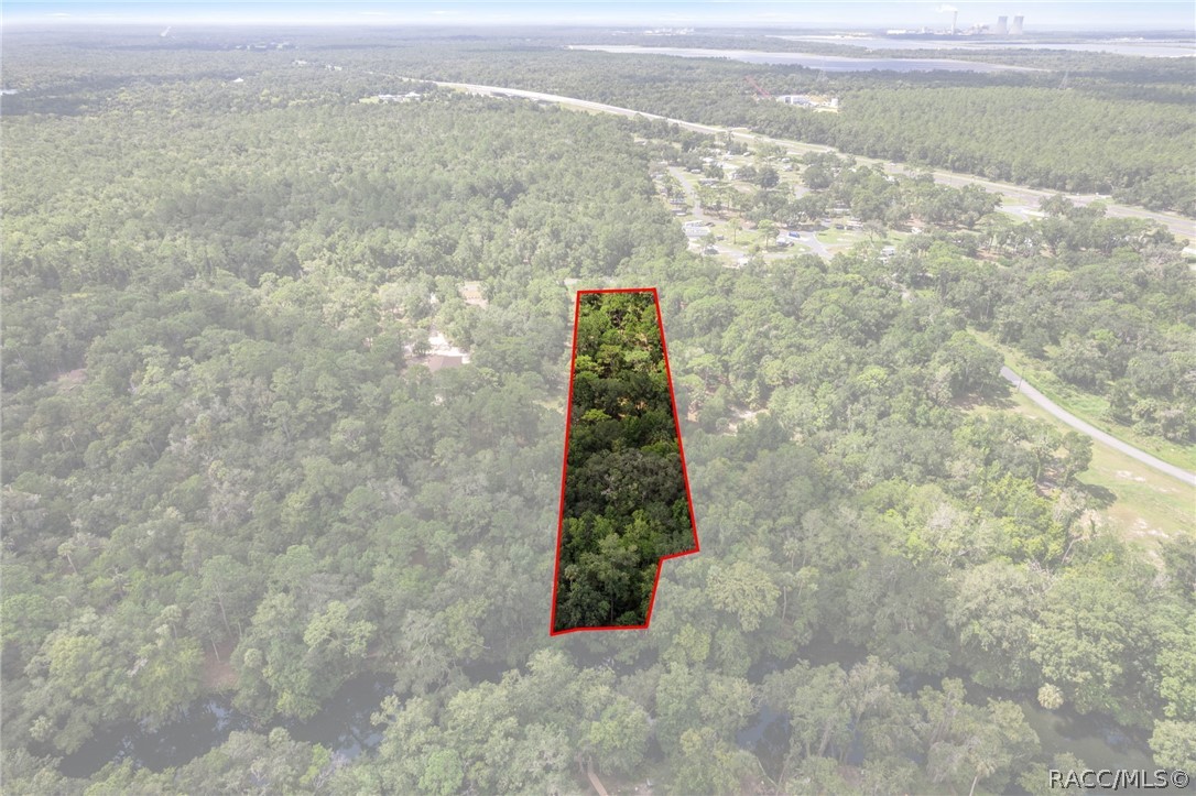 13707 West Foss Grove Path Inglis, FL 34449 - Photo 12 of 20 Gallery Image 12