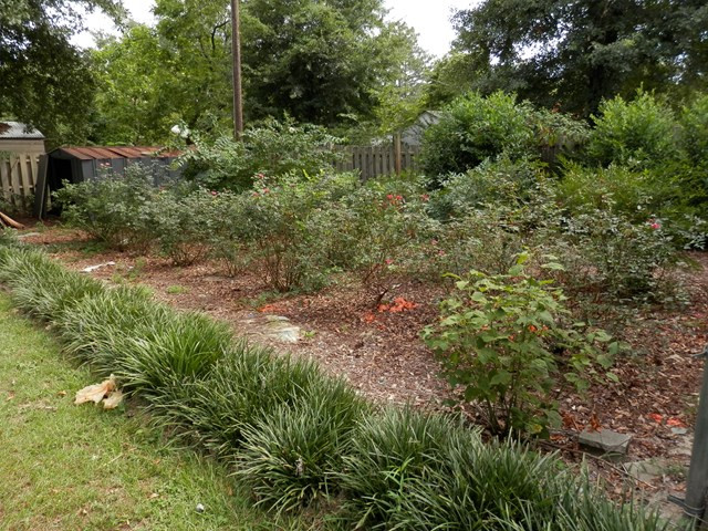 215 Duncan Road Graniteville, SC 29829 - Photo 24 of 28 Large Backyard