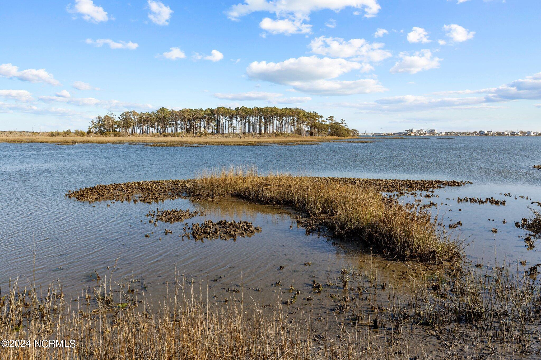 1302 Fathom Way Morehead City, NC 28557 - Photo 15 of 23 Waterfront community