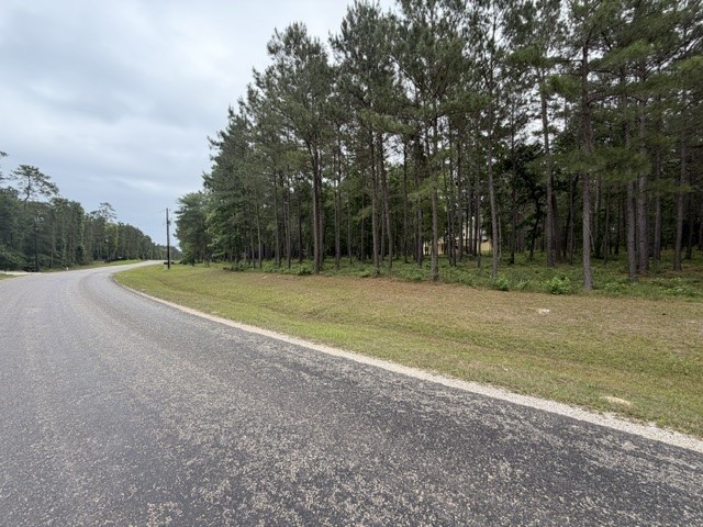 Tbd Texas Grand Road Huntsville, TX 77340 - Photo 7 of 8