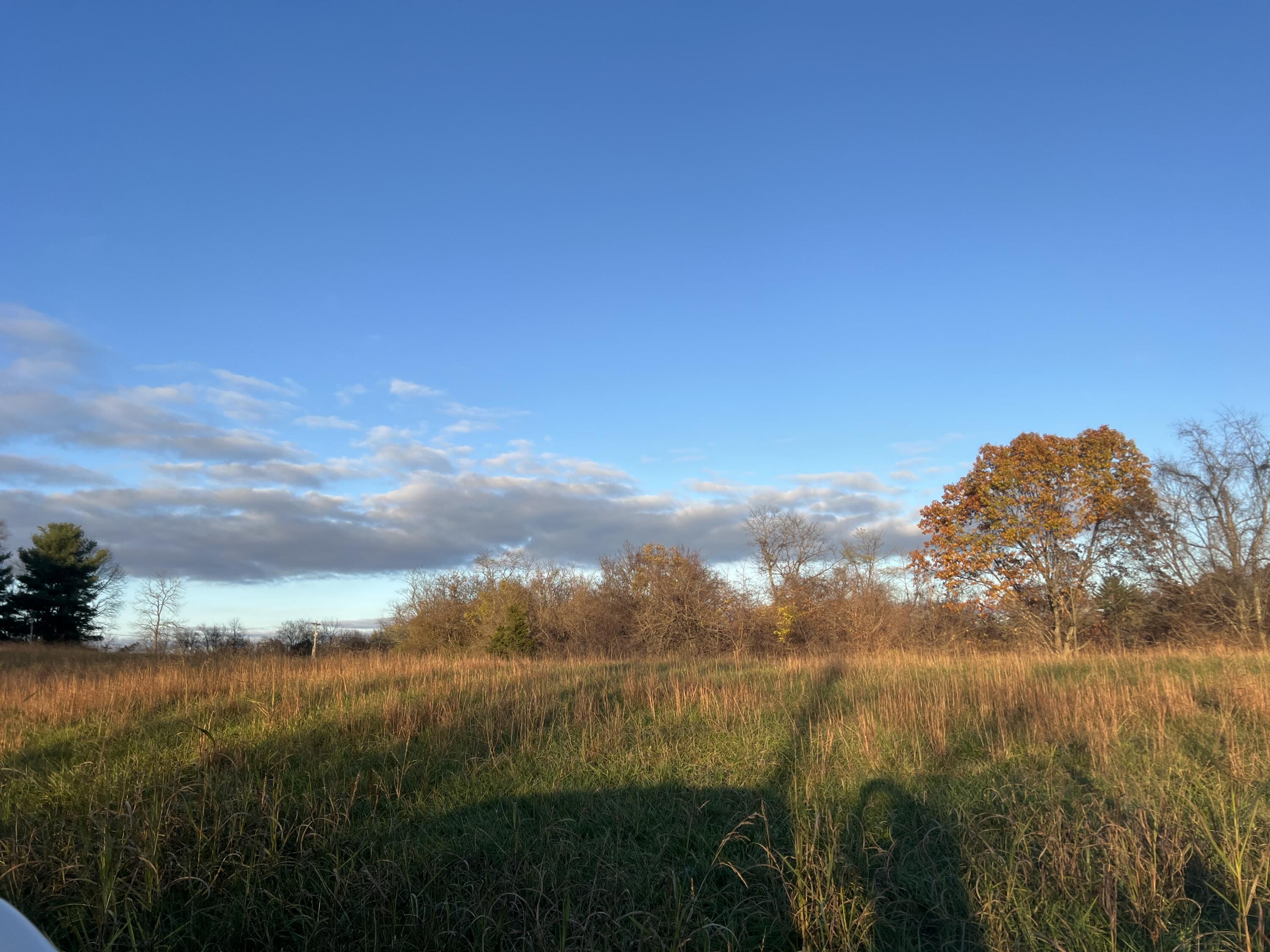 12187 Klein Road, Unit 5 Morning View, KY 41063 - Photo 4 of 14