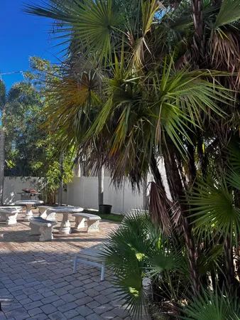 a view of backyard with swimming pool and trees