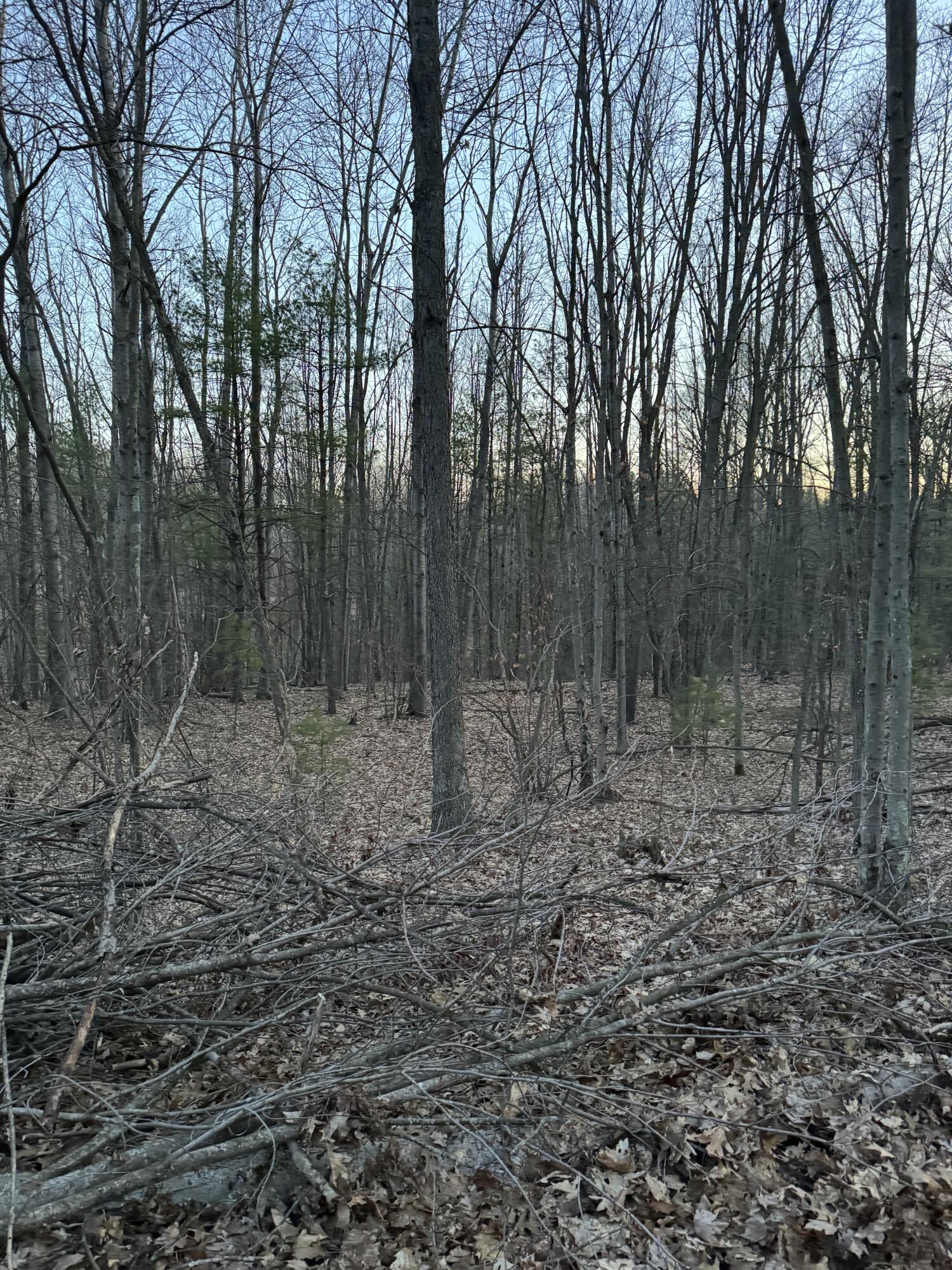 V/l South Tyndall Road Branch, MI 49402 - Photo 5 of 6 View of land