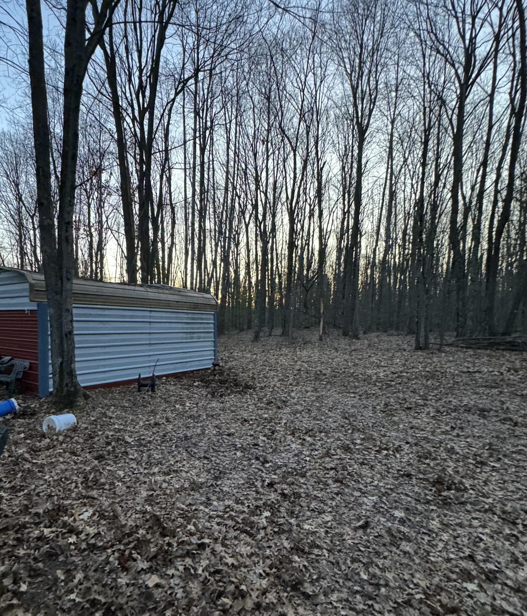 V/l South Tyndall Road Branch, MI 49402 - Photo 6 of 6 View of land