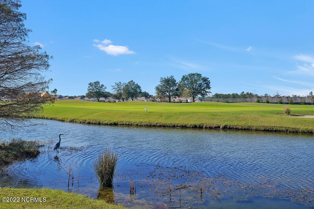 290 Woodlands Way, Unit 10 Calabash, NC 28467 - Photo 36 of 63 CrowCreek-13