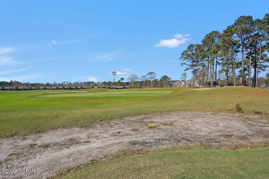 290 Woodlands Way, Unit 10 Calabash, NC 28467 - Photo 61 of 63 CrowCreek-11