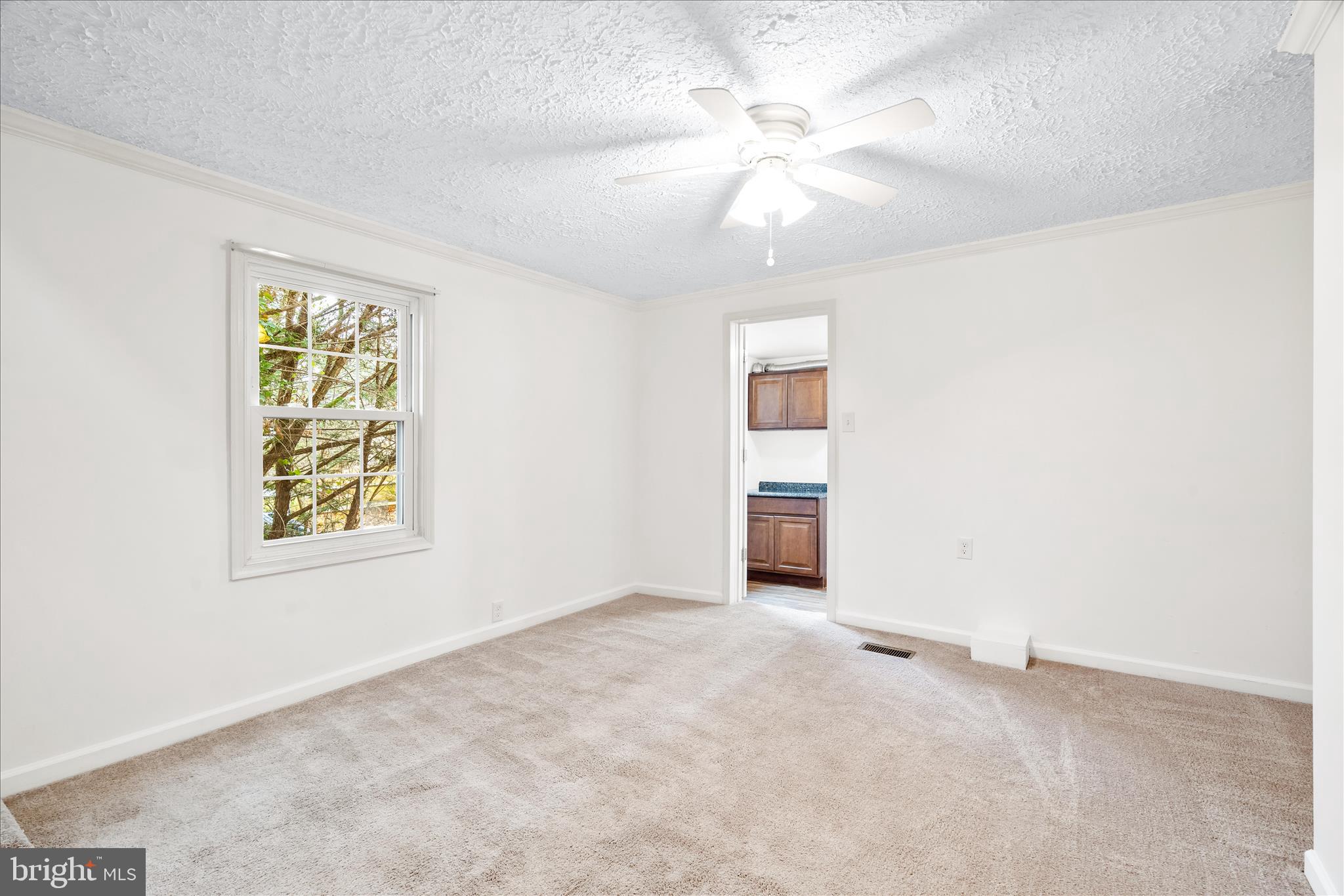 2060 Flag Marsh Road Mount Airy, MD 21771 - Photo 13 of 21 an empty room with windows and fan