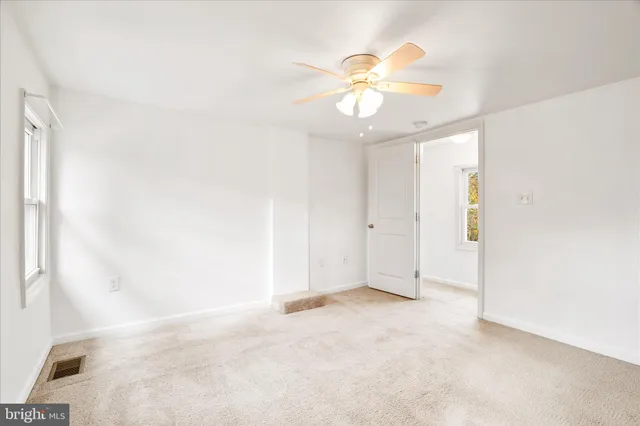 a view of yard with tree