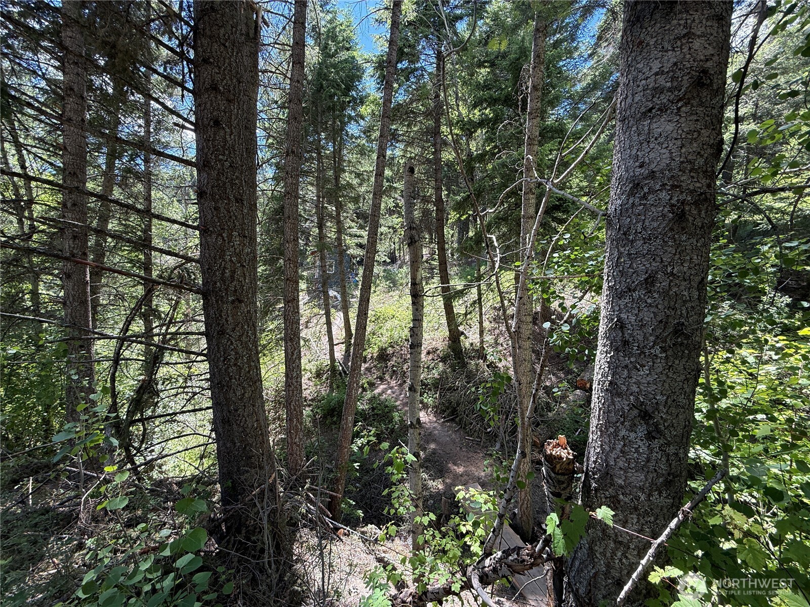 -tbd Toroda Creek Road Wauconda, WA 98859 - Photo 23 of 23