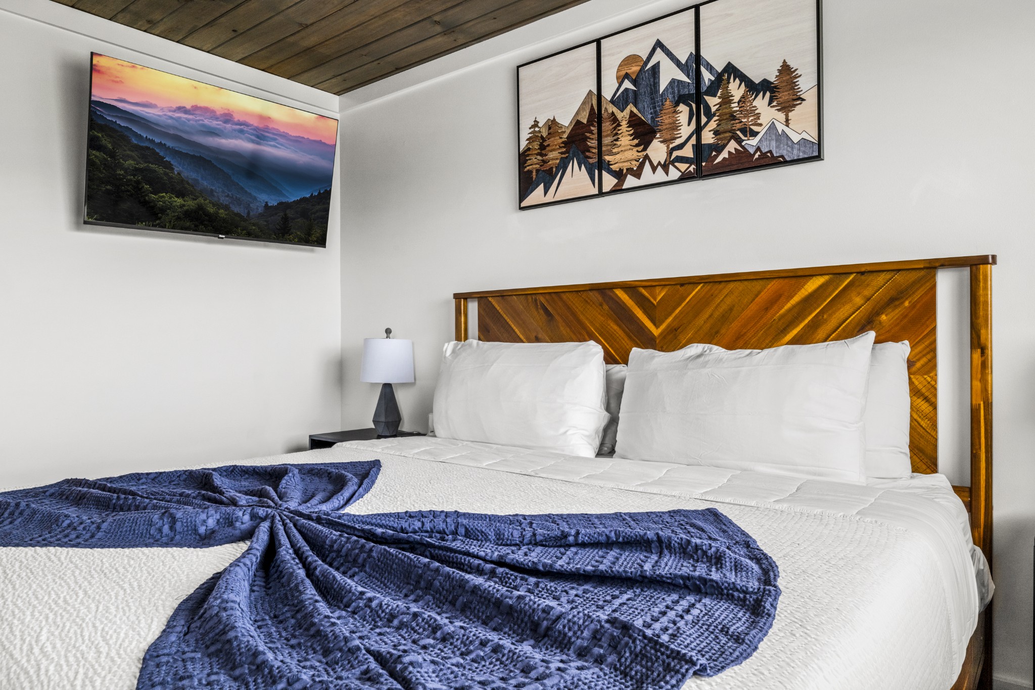 3710 Weber Road, Unit E106 Gatlinburg, TN 37738 - Photo 12 of 26