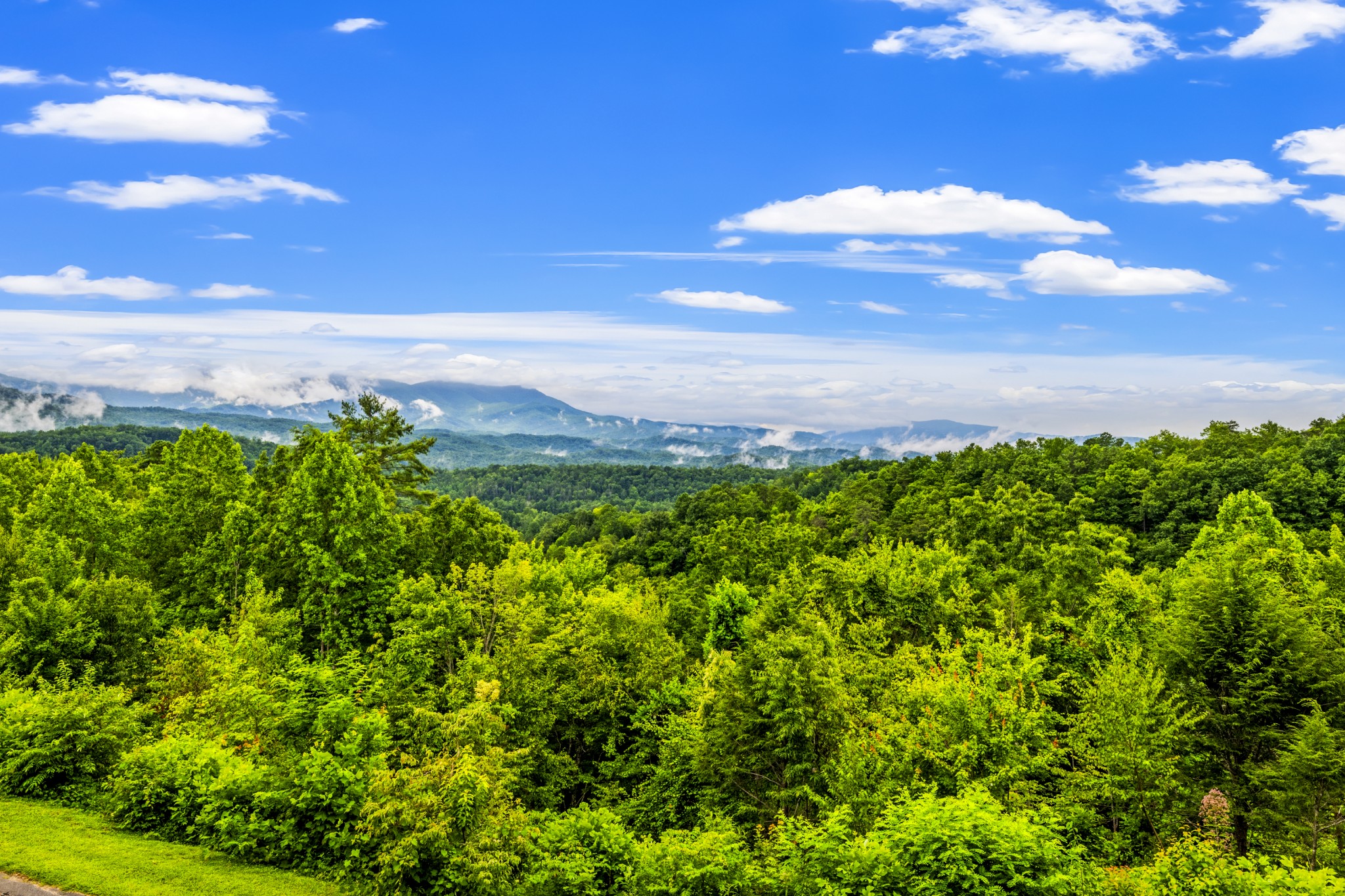 3710 Weber Road, Unit E106 Gatlinburg, TN 37738 - Photo 15 of 26